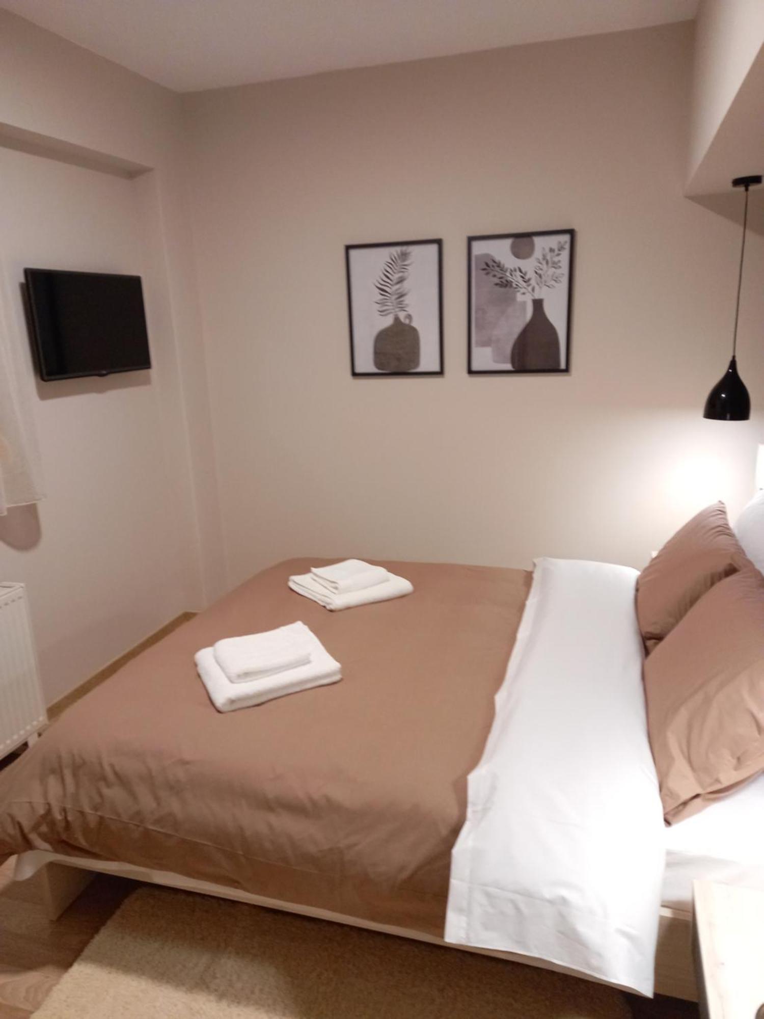 קאלאבאקה Novos Guesthouse Meteora חדר תמונה